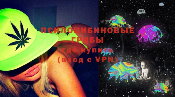 индика Алексеевка