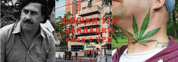 сатива Абинск
