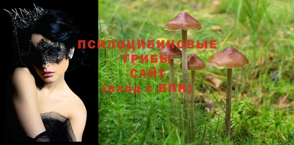 шишки Абдулино