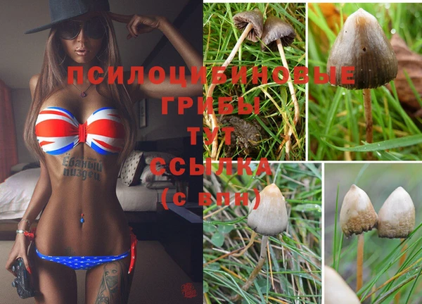 каннабис Абаза
