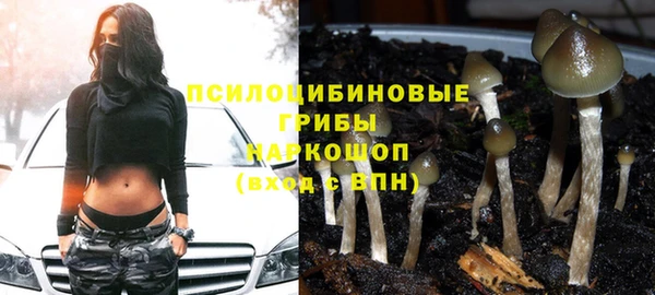 бошки Алексин