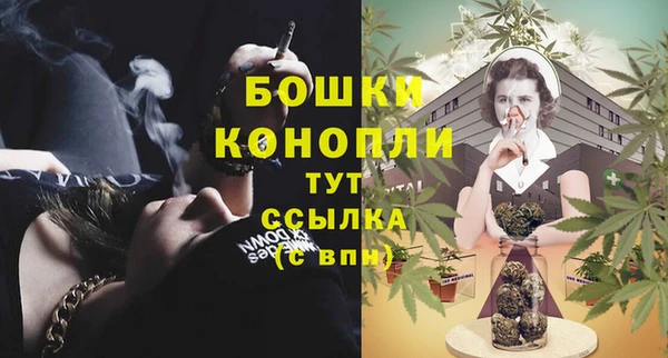 бошки Алексин