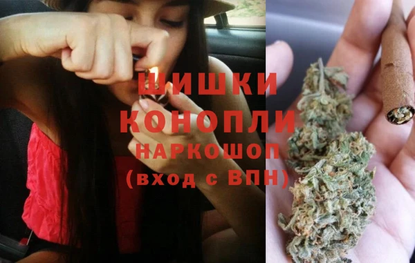 сатива Абинск
